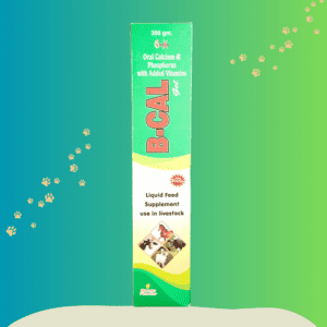B-Cal Gel 300gm